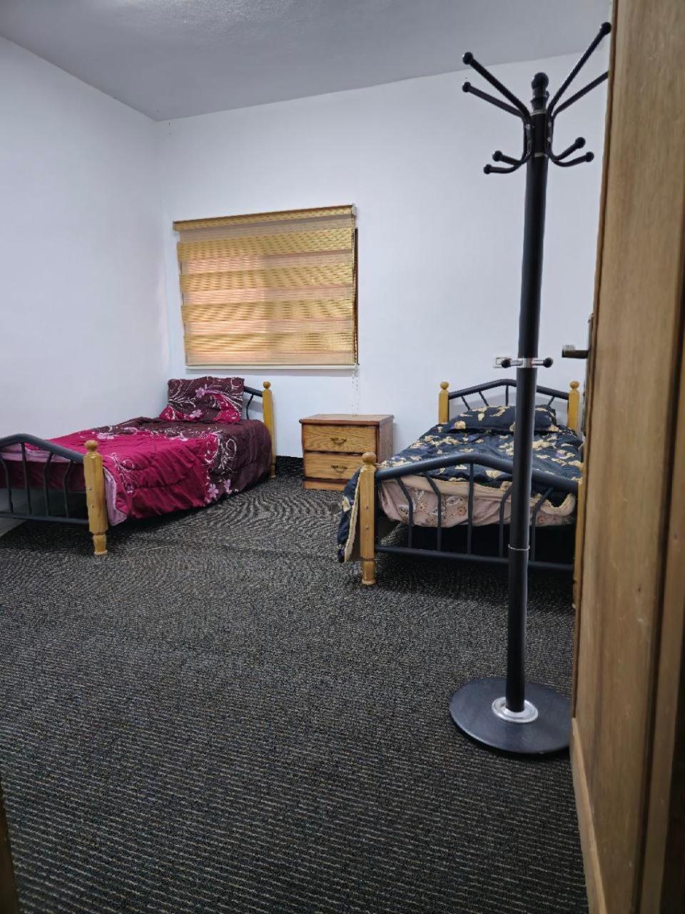 Furnished For Rent In مفروشة للإيجار في *