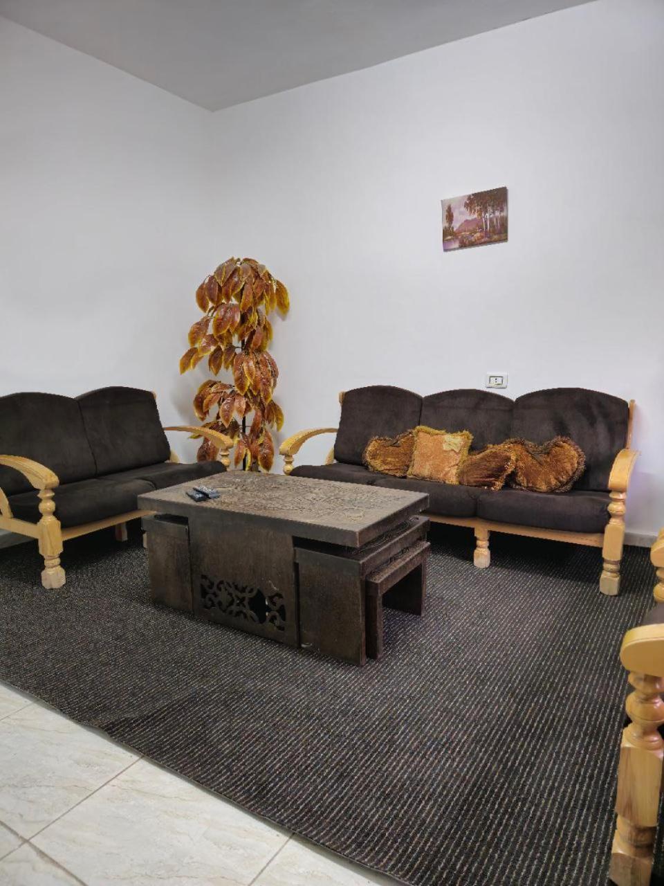 Apartment Furnished For Rent In مفروشة للإيجار في